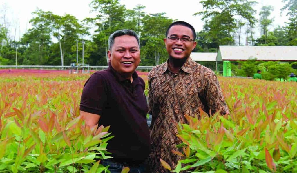 Acct Manager Tanaman