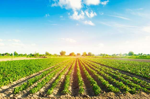 Agricultural farm