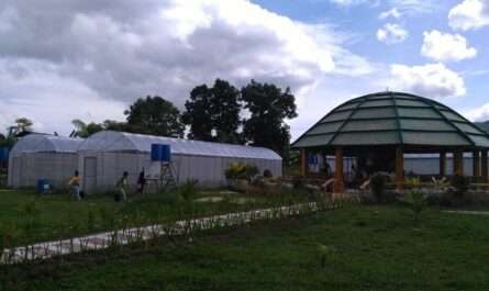 Agricultural Training Institute-Cebu Multi-Purpose Cooperative