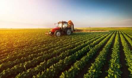 Agriculture Stratégies