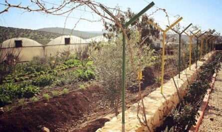 Al Sham Gradens Agriculture Development