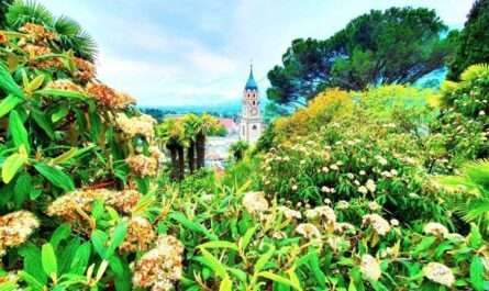 Apicoltura parco naturale delle mura di Mauro Grella