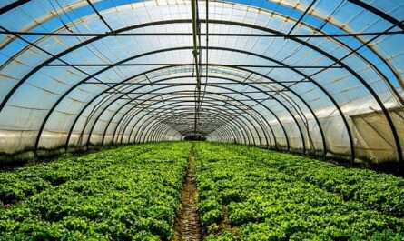 Arab Qatari Agriculture Production Co.