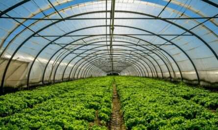 Araddha Nursury & Agricultural Firm