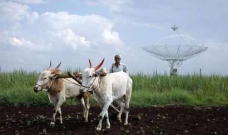 Ayushman Agriculture