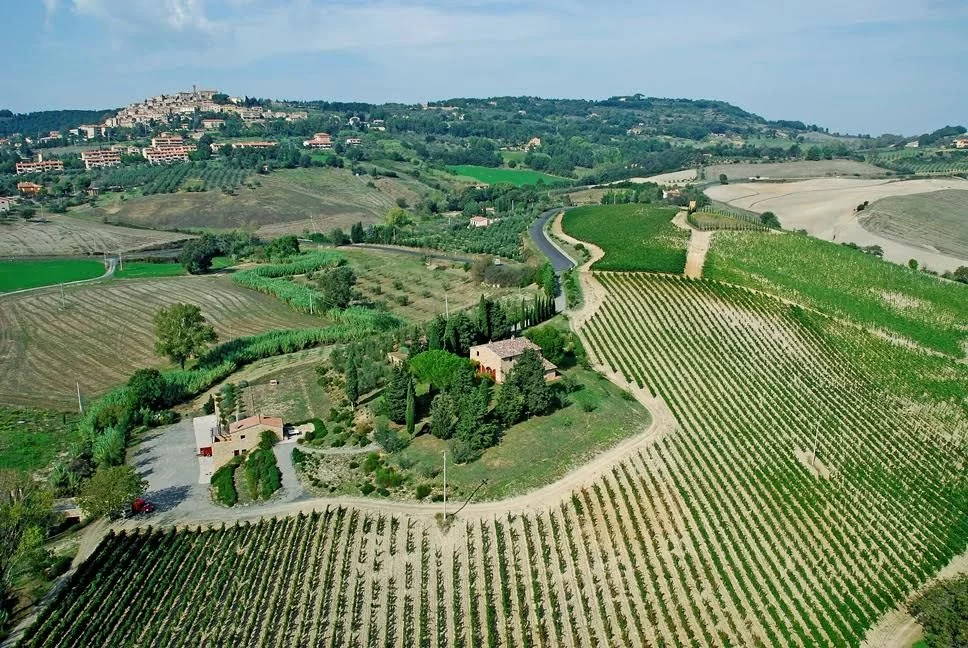 Azienda agricola Pagani