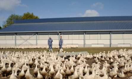 BAOBA – Open Business Agriculture