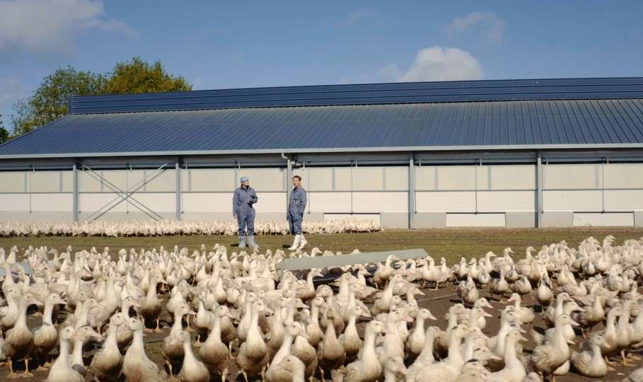 BAOBA – Open Business Agriculture