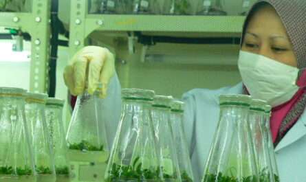Brunei Agriculture Research Center