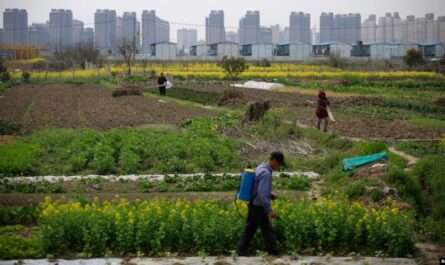 China Agricultural Means of Production Shanghai Company