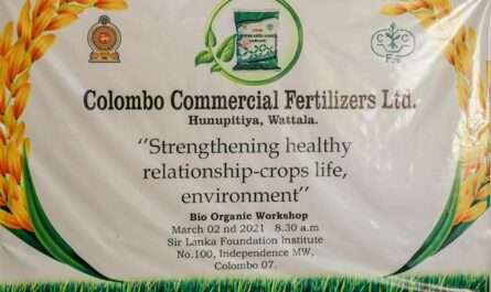 Colombo Commercial Fertilizers LTD