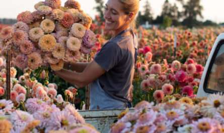 dailyfloret