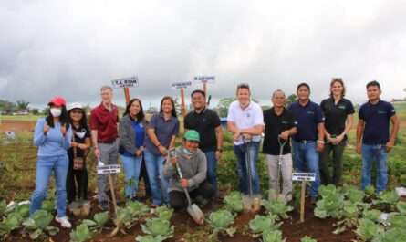 Davao Spectrum Agricultural Trading Corporation