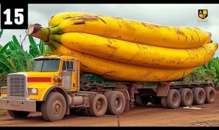 ECO NADI AGROBIZ 1