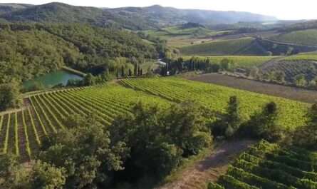 Fattoria Poggerino