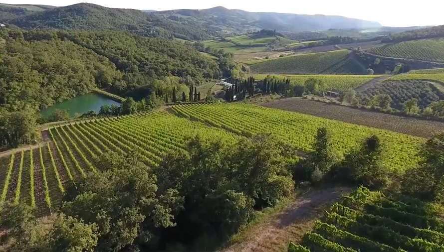 Fattoria Poggerino