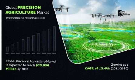 First Online Agriculture Marketing