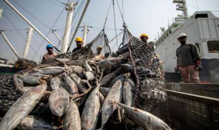 Fishery