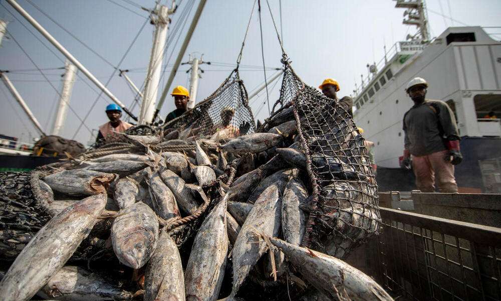 Fishery