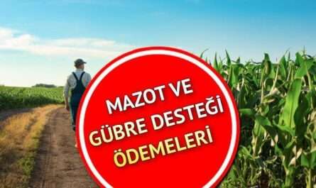 gubre.az #71