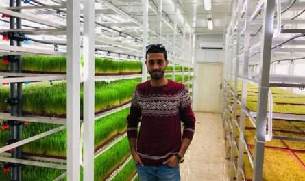 H2O Farm