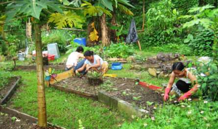 Hong Kong Agriculture & Gardening Employees Association