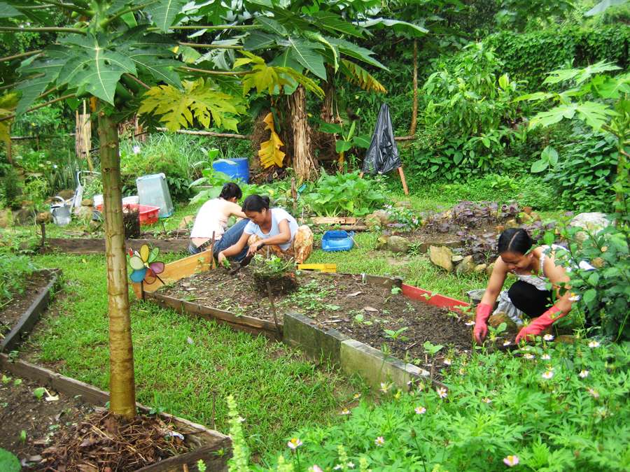 Hong Kong Agriculture & Gardening Employees Association