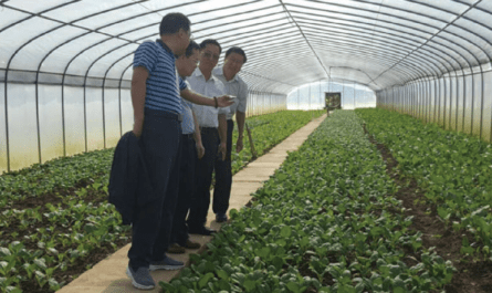 Hua Ho Agricultural Farm