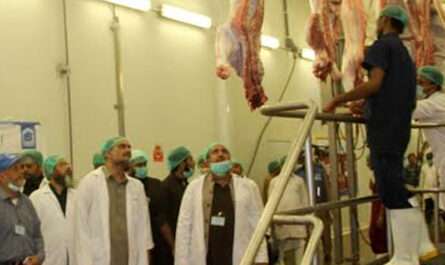Jamahat Abattoir