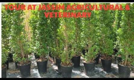 Jassim Agriculture & Veterinary (Agrovet)