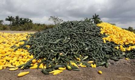 Jef Agricultural Supply