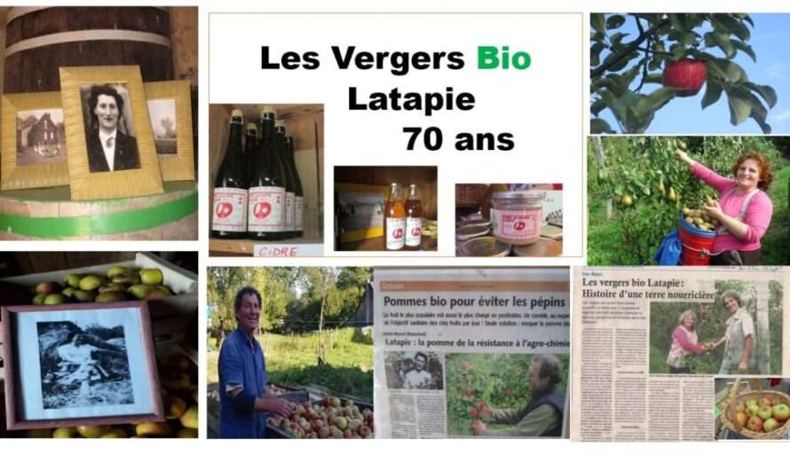 Le vergers de la terre bio