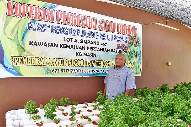 Lot A Kawasan Kemajuan Pertanian Batumpu Kg Masin