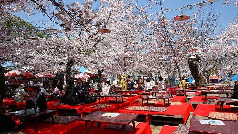Maruyama Japan
