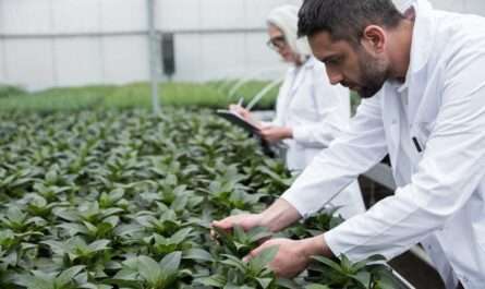 Ministry of Agriculture and Forestry