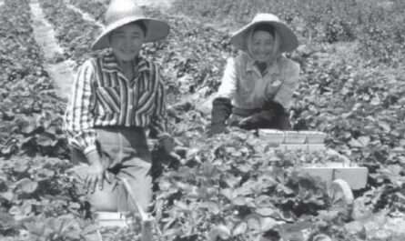Mizu Farm