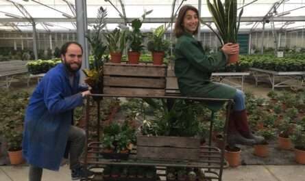 Moreux Horticulture