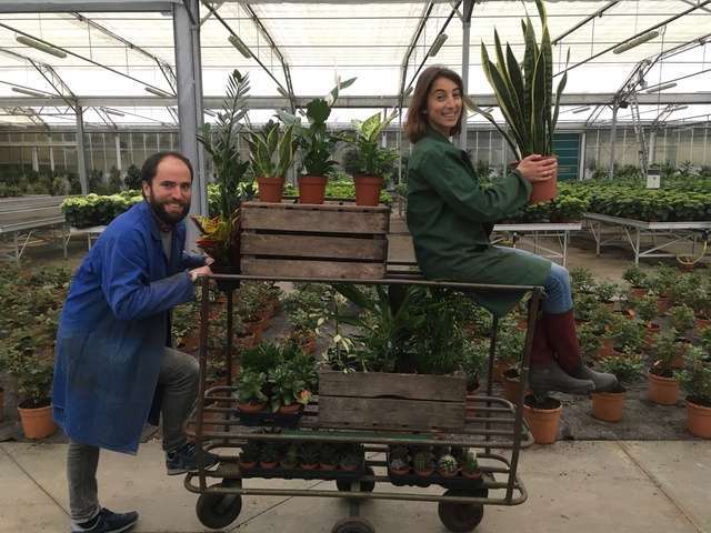 Moreux Horticulture