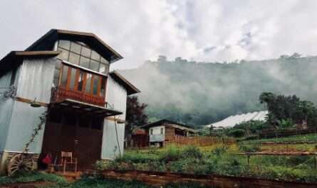 Mori Farm