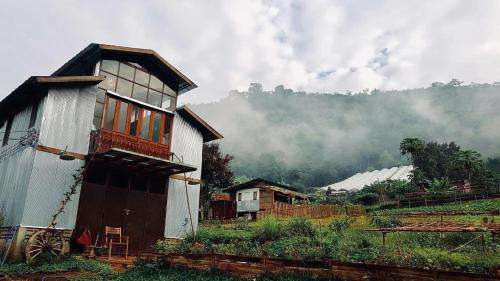 Mori Farm