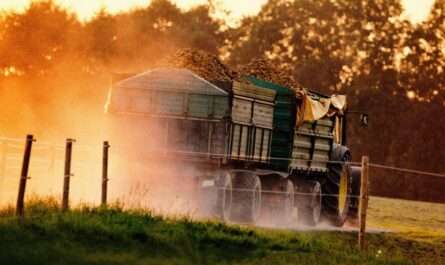 N Blessing Farm Integrated – Diversified Farm