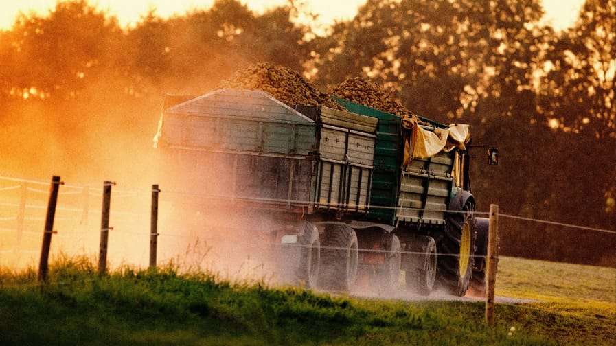N Blessing Farm Integrated – Diversified Farm