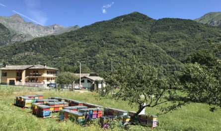 NK Società cooperativa agricola