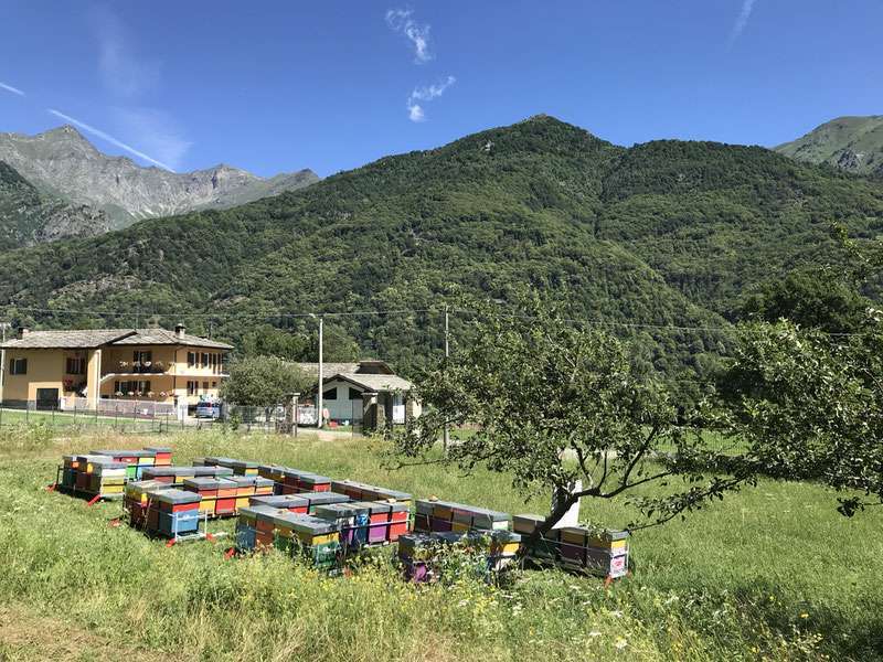 NK Società cooperativa agricola