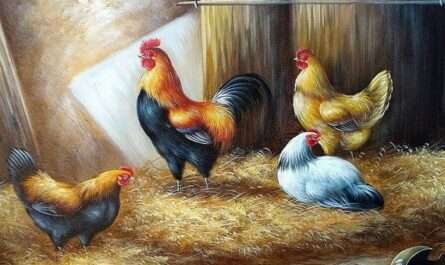 OJL Farm Animals