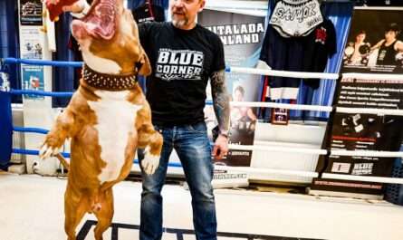 Pertti Nurmi – Blue Corner Sport