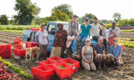 Regional Agriculture and Marketing Cooperative (RAMCO)