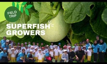 Superfish Growers