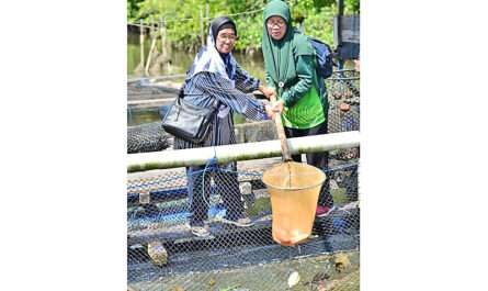 Syarikat Seri Paring