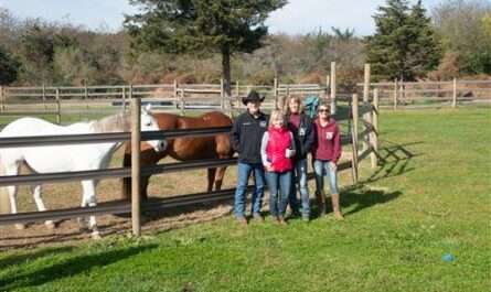 TFSB Farm